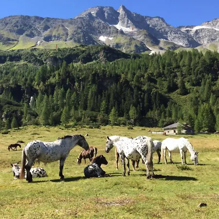 Frühstücks-&apartmenthaus Maislau 3* Rauris